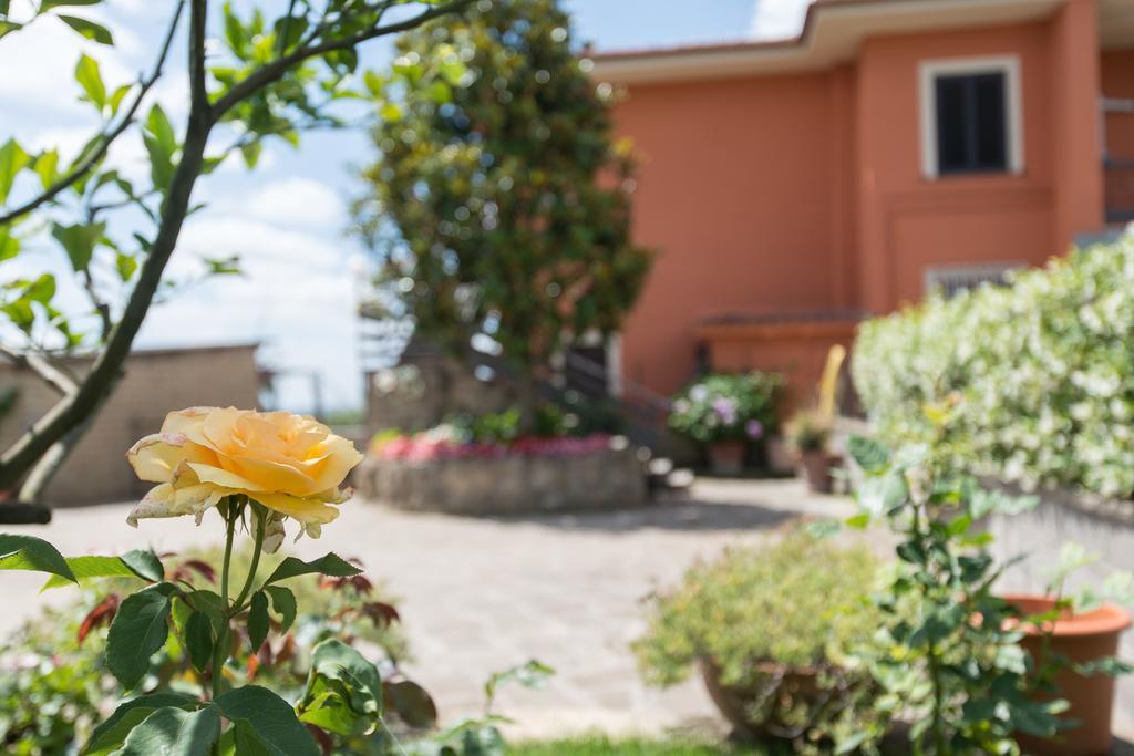 Bed And Breakfast Nonna Loreta フォルメッロ エクステリア 写真
