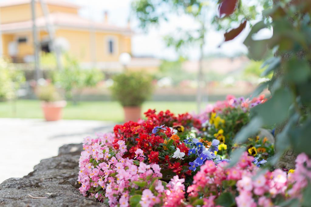 Bed And Breakfast Nonna Loreta フォルメッロ エクステリア 写真